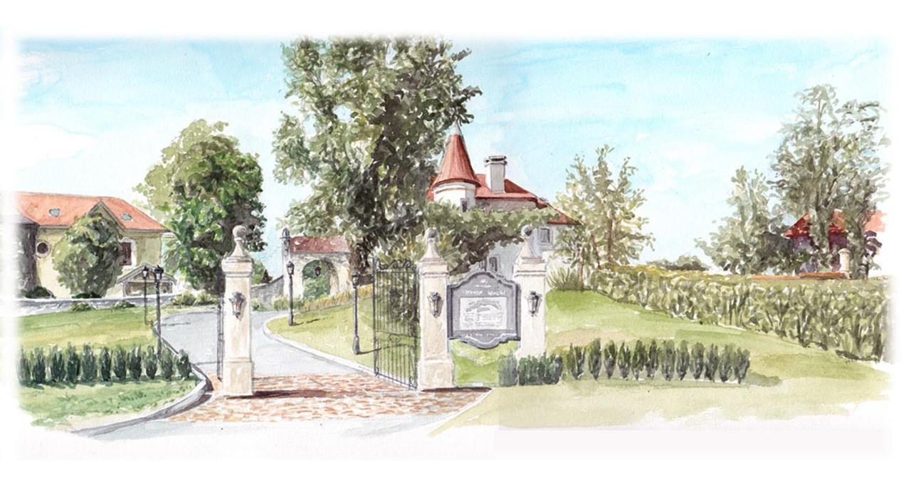 Chateau Brachet Grésy-sur-Aix Exteriér fotografie